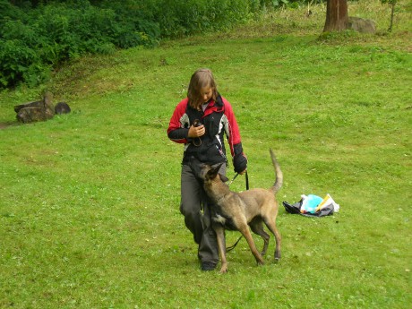 výcvik 2011,poslušnost-chůze