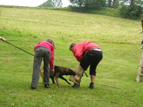 výcvik 2011,kousání