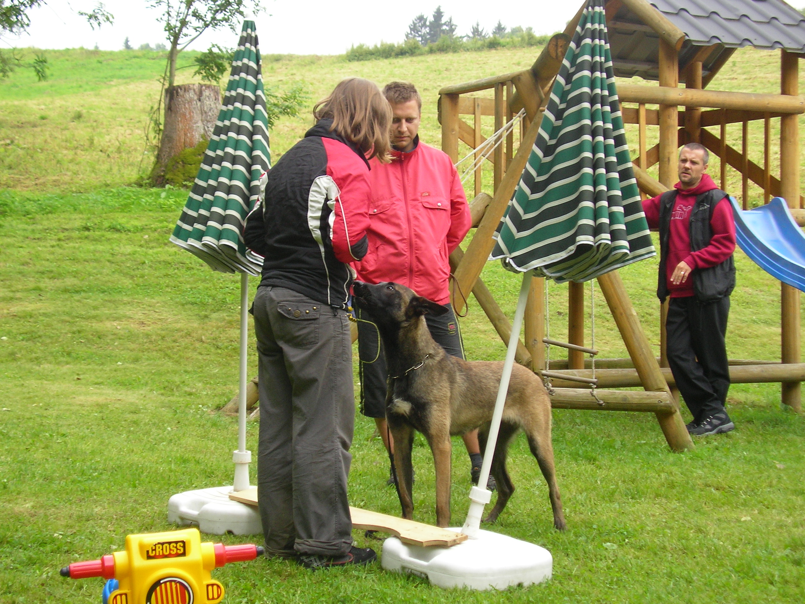 výcvik 2011,poslušnost-polohy