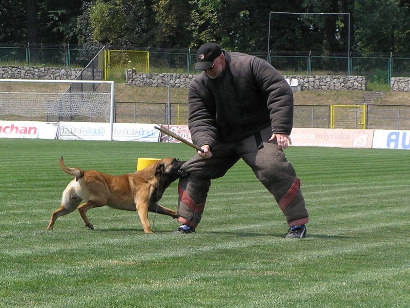 červen 2011.